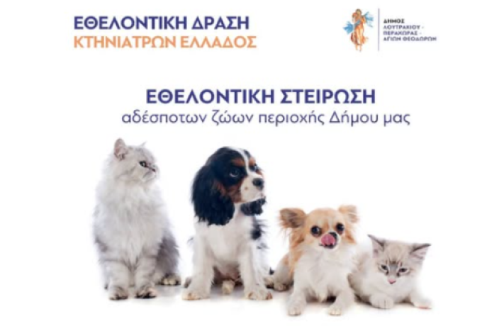 Δήμος Λουτρακίου – Περαχώρας – Αγίων Θεοδώρων: 9η Εθελοντική Δράση Κτηνιάτρων Ελλάδος για τη Στείρωση Αδέσποτων Ζώων